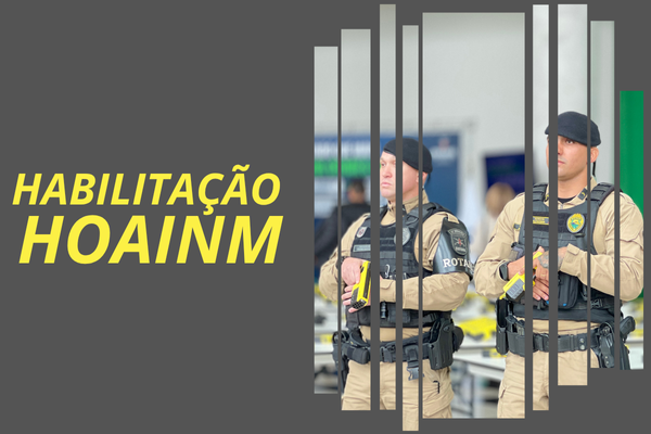 Violência Doméstica