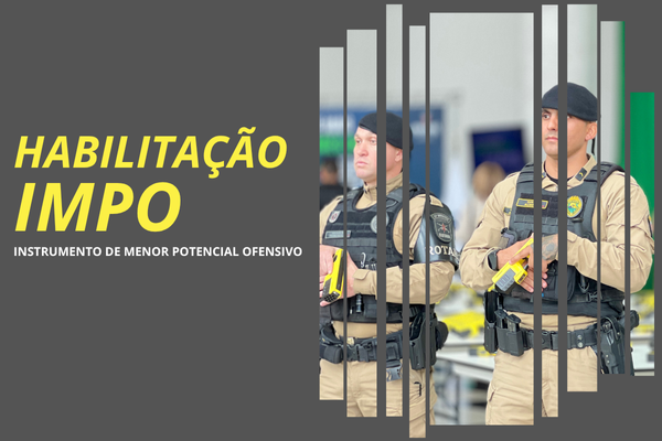 Violência Doméstica