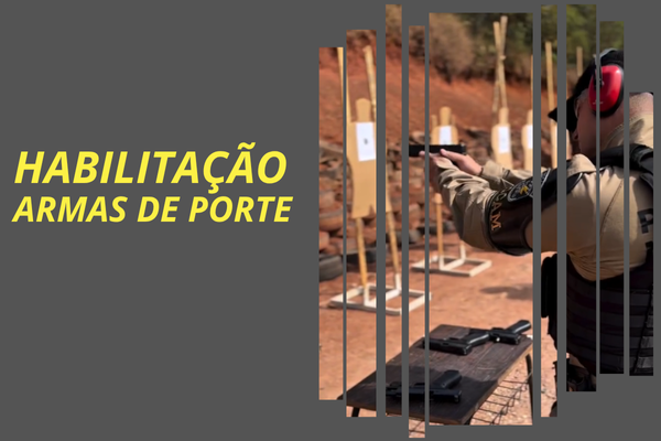 Violência Doméstica